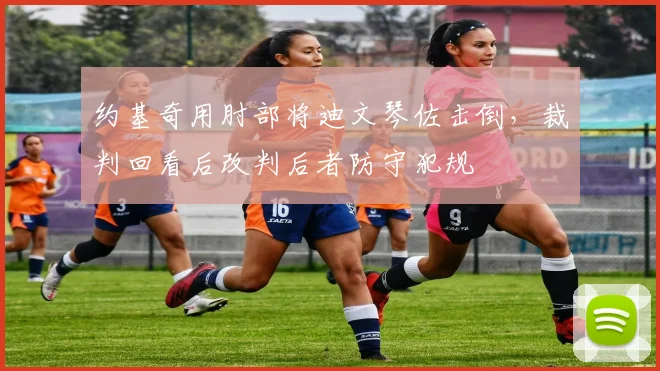 约基奇用肘部将迪文琴佐击倒，裁判回看后改判后者防守犯规